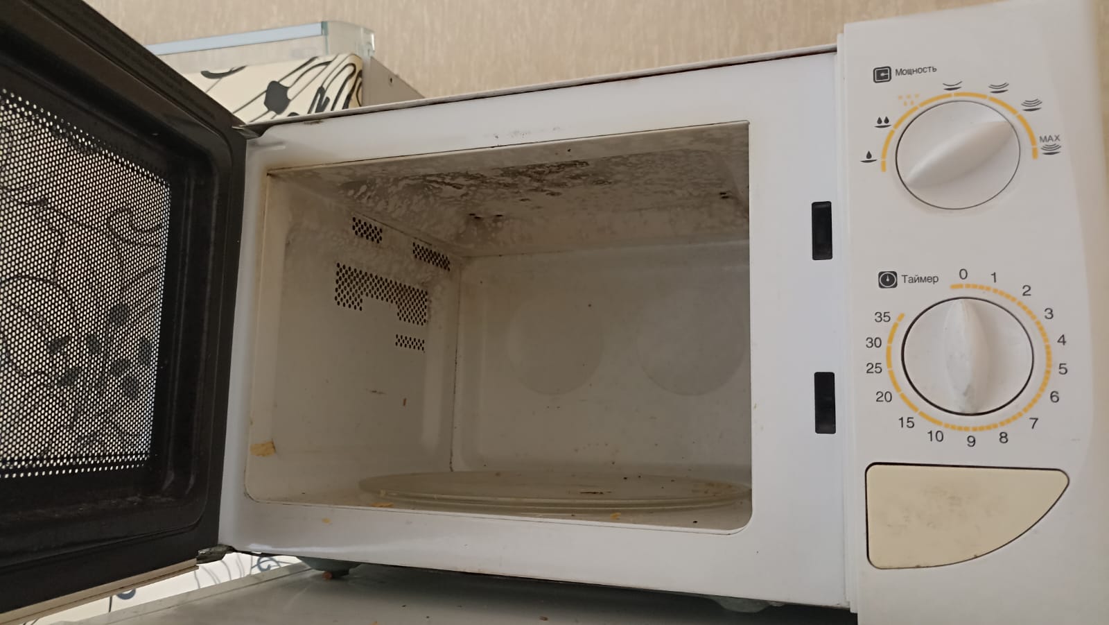 Microwaves "generate" bacteria resistant to aggressive environment