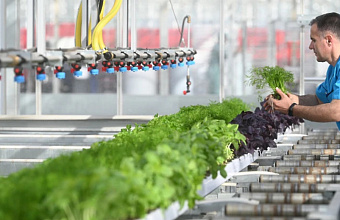 Dagestan to host agro-industrial forum