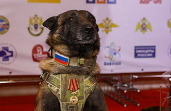 Cynologist from Dagestan and his service dog win All-Russian award