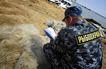 In Dagestan, poachers face criminal charges for using banned fishing gear