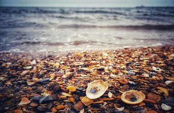 The Caspian Sea: A Field of Rivalry