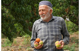 Dagestan expands state support for agriculture: new benefits for farmers