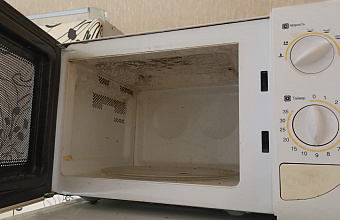 Microwaves "generate" bacteria resistant to aggressive environment