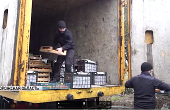 Delegation from Dagestan delivers humanitarian aid and New Year gifts to Zaporizhia regionDelegation from Dagestan delivers humanitarian aid and New Year gifts to Zaporizhia region