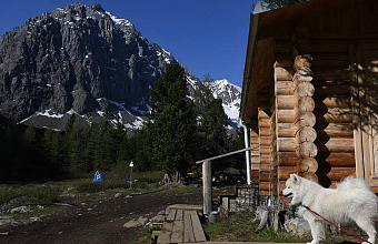 Experiment on legalization of guest houses to be launched in Russia