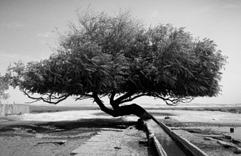 Stavropol artist captures unusual atmosphere of northern Dagestan